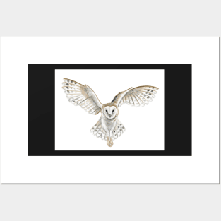 Watercolor Barn Owl Flying Posters and Art